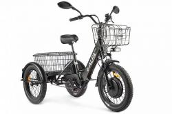 Электровелосипед GREEN CITY e-ALFA Trike - фото