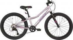 Велосипед Maxiscoo 5BIKE 24 L (2024) - фото