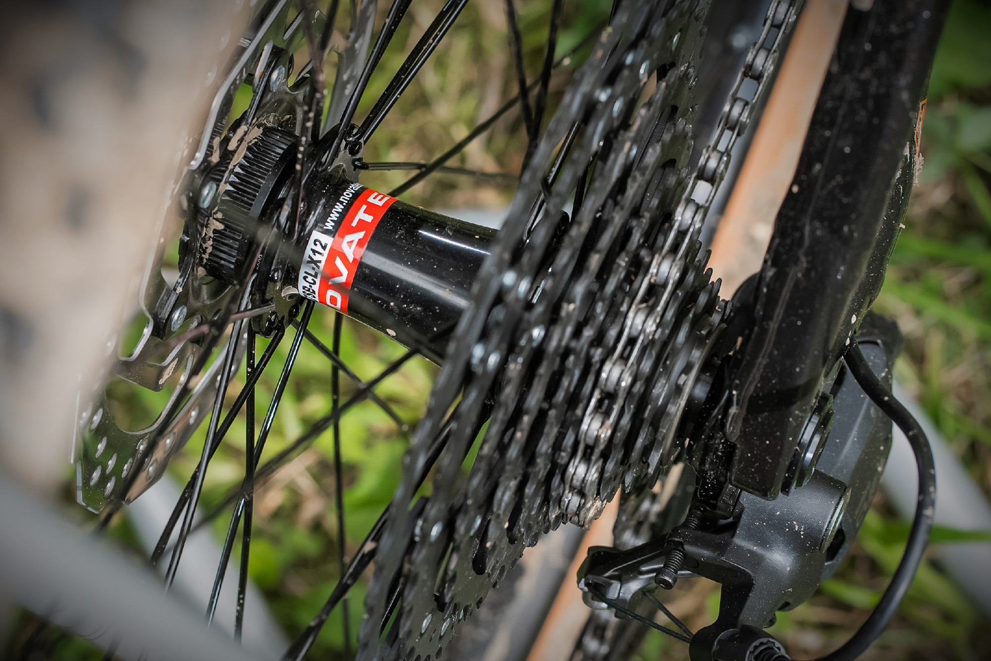 Stinger Graphite PRO 29 (2025) фото 9