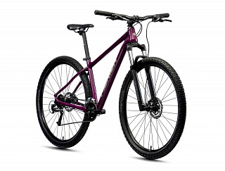 Велосипед Merida BIG.NINE 60-2X (2022) - фото