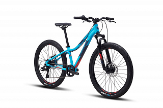 Велосипед Polygon Relic 24" (2021) - фото