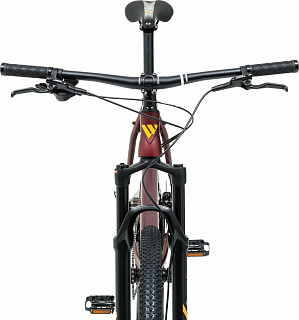 Велосипед Welt Ranger 4.0 29 (2024) - фото