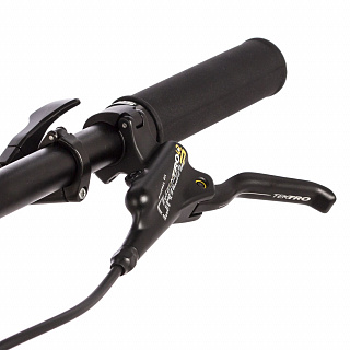 Велосипед Stinger Zeta Std 29" (2023) - фото