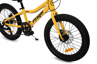 Велосипед Pifagor Axiom 20 - фото