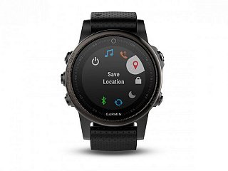 Часы GARMIN Fenix 5S Sapphire (Black) - фото