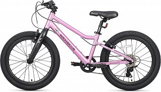 Велосипед Maxiscoo 5Bike 20 L (2025) - фото